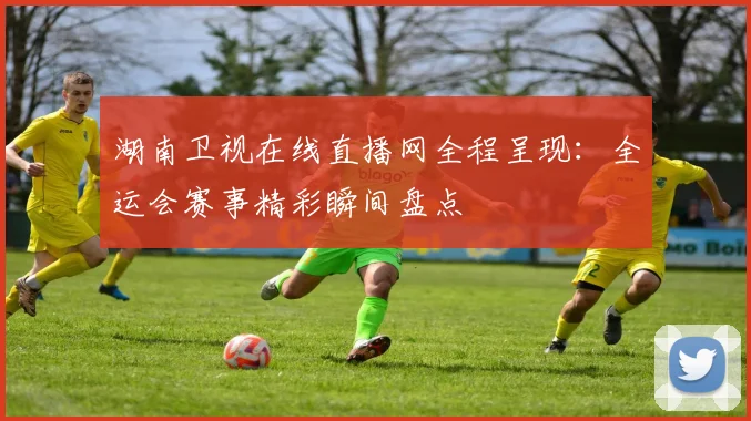 湖南卫视在线直播网全程呈现：全运会赛事精彩瞬间盘点