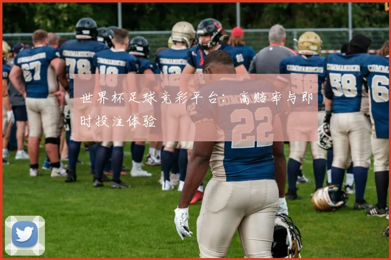 世界杯足球竞彩平台:高赔率与即时投注体验
