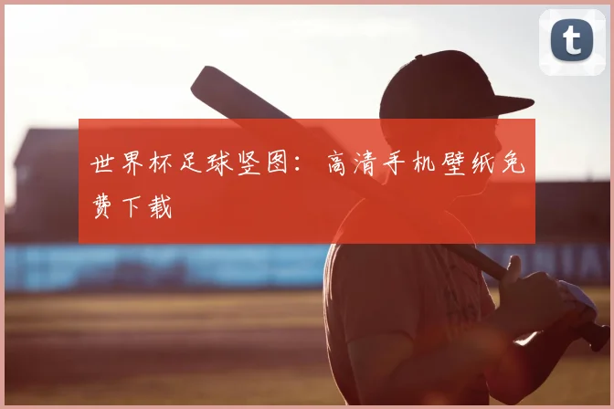 世界杯足球竖图：高清手机壁纸免费下载
