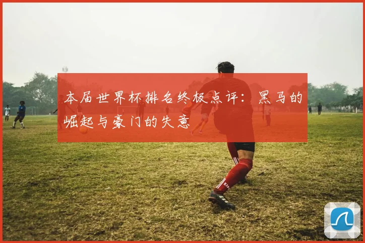 本届世界杯排名终极点评：黑马的崛起与豪门的失意