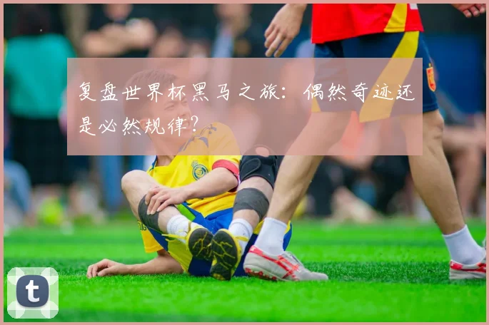 复盘世界杯黑马之旅：偶然奇迹还是必然规律？