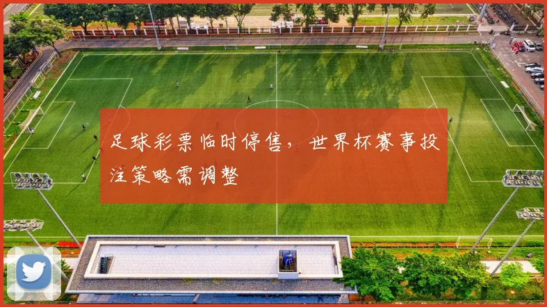 足球彩票临时停售，世界杯赛事投注策略需调整