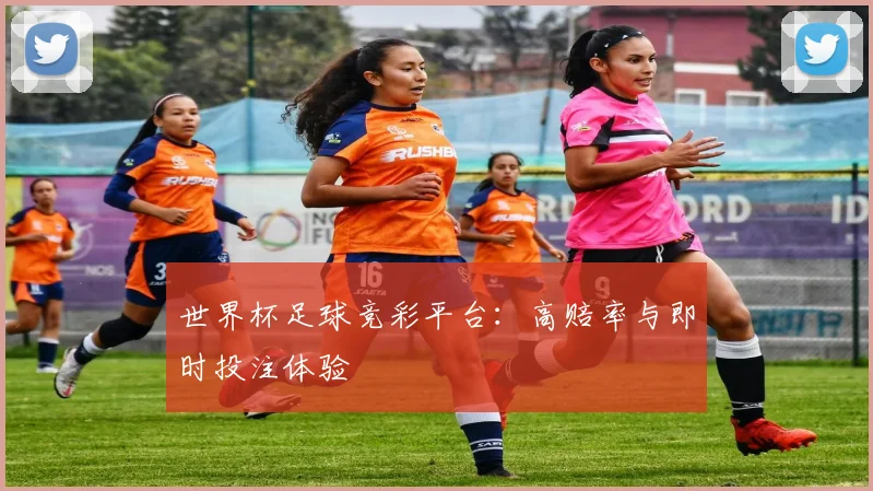 世界杯足球竞彩平台：高赔率与即时投注体验